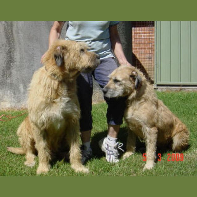 Photo of Delilah And Samson