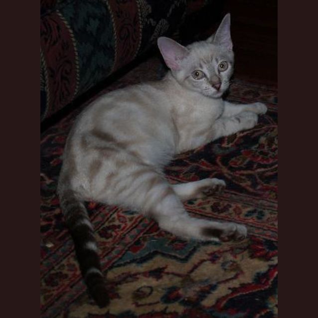 Photo of Valerie