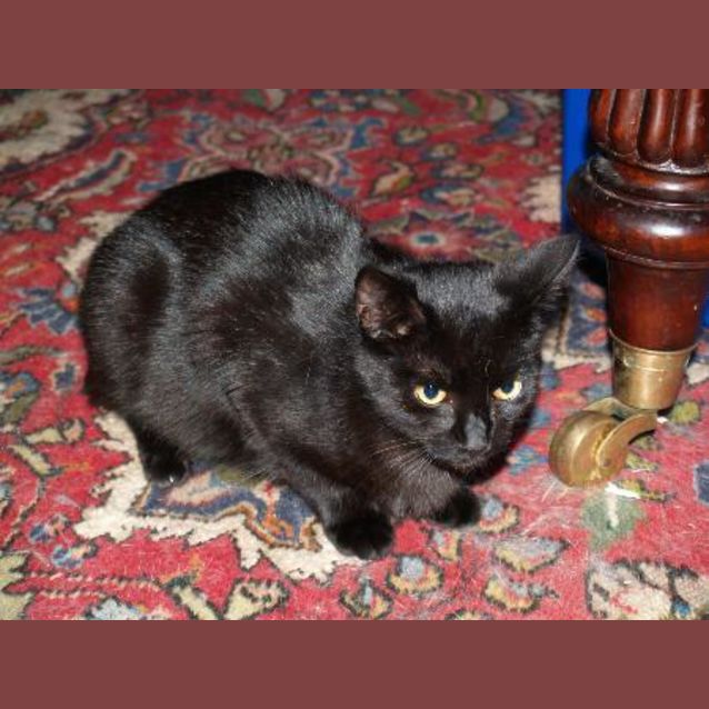 Photo of Miss Molly