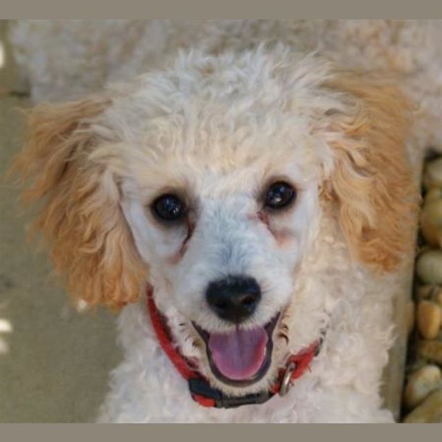 Photo of Shannon Is Trying A New Home!!