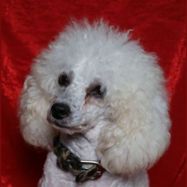 Photo of Kath