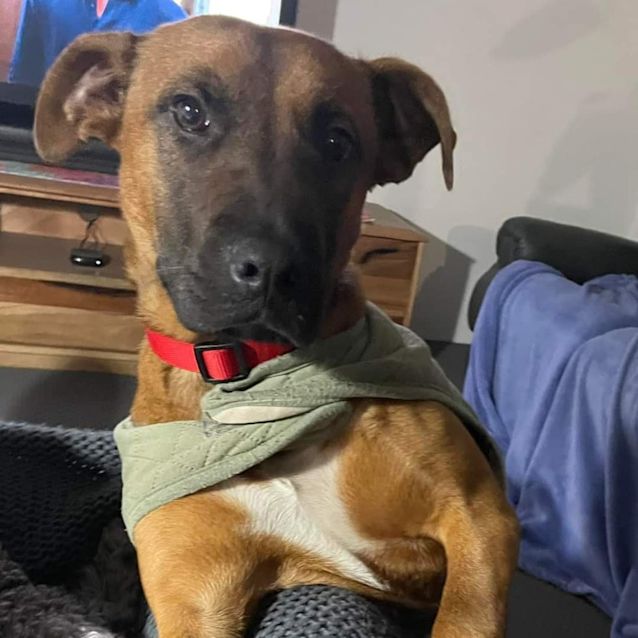 Photo of Pippa
