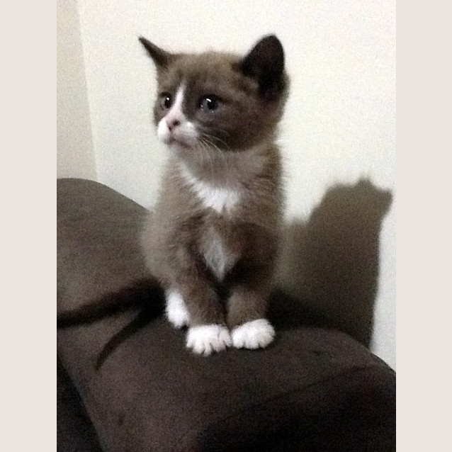 Photo of Levi
