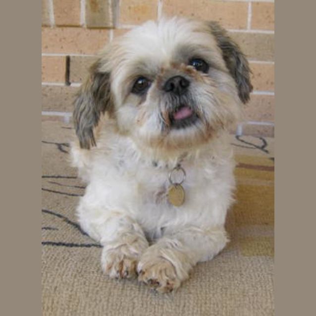 Photo of Maggie
