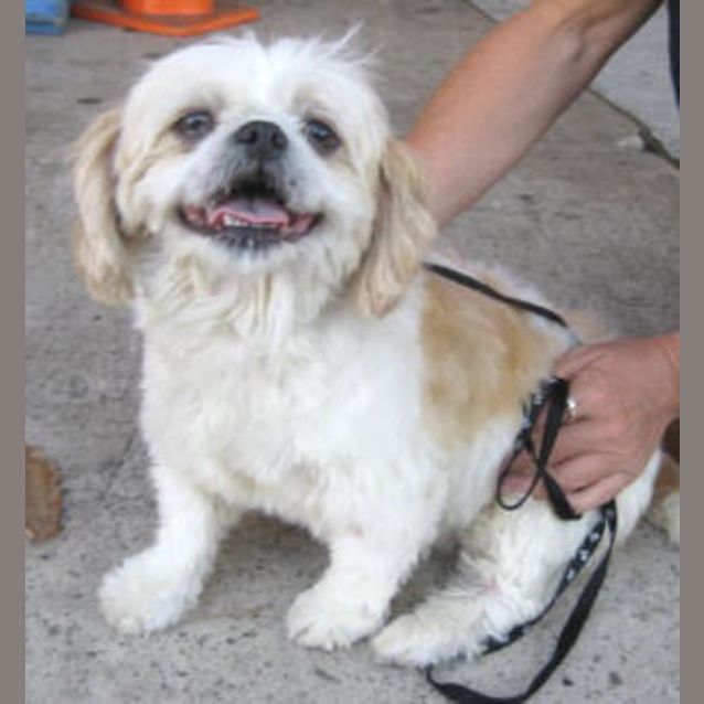Photo of Ellie Mae