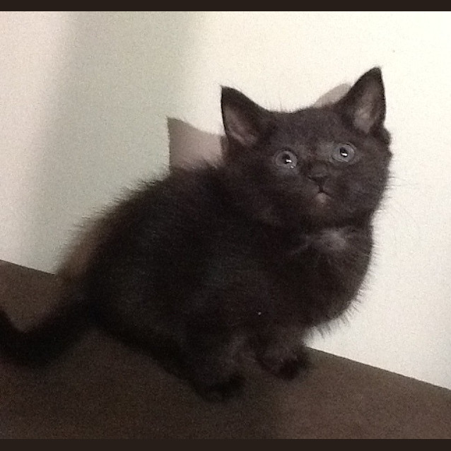 Photo of Belle