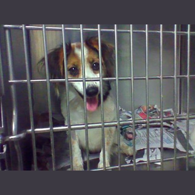 Photo of Orphan Annie