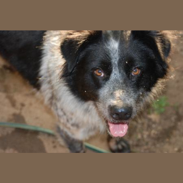 Photo of Rex Is Trying A New Home!!