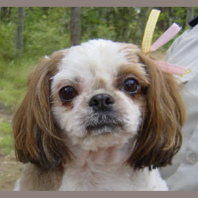 Photo of Bubbles