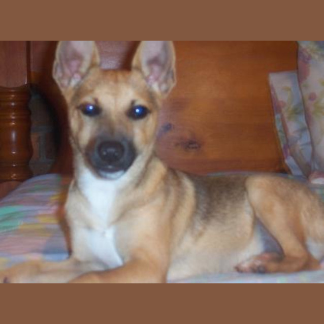 Photo of Timtam