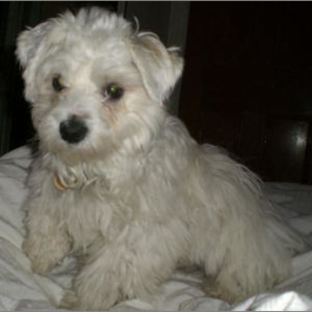Photo of Marley