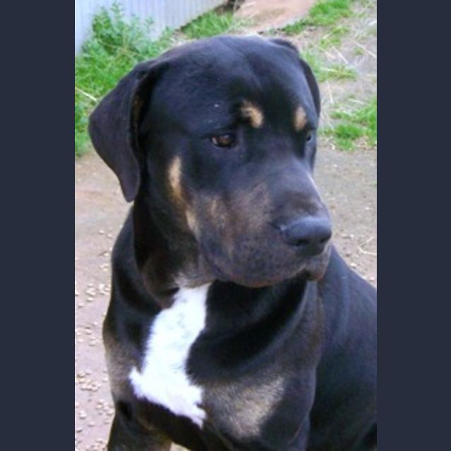 Photo of Monte