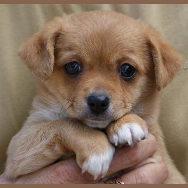 Photo of Who Is Trying A New Home !