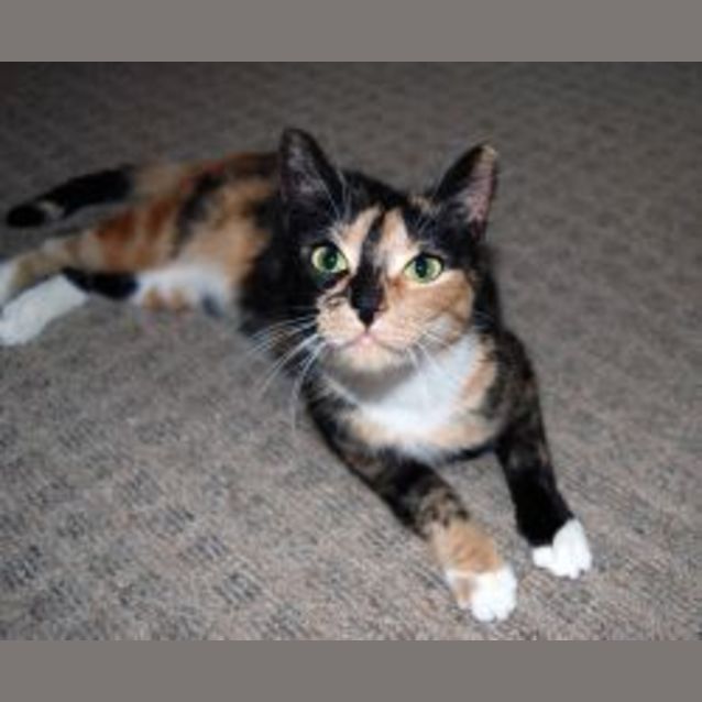 Photo of Pinky