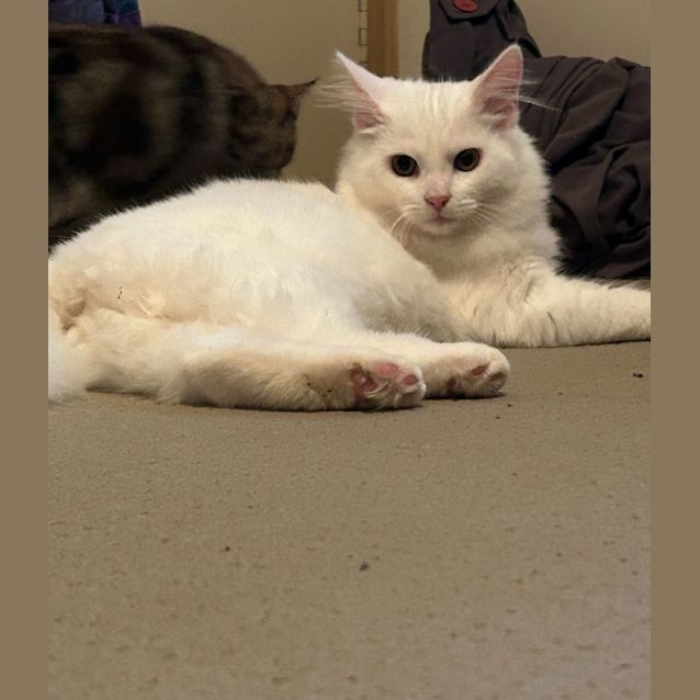 Photo of ☁️cloud ☁️ (Located In Boronia)