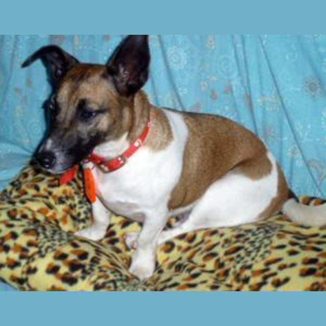 Photo of Jedda