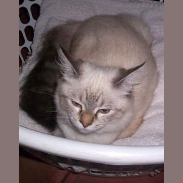 Photo of Nellie