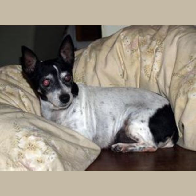 Photo of Maisey