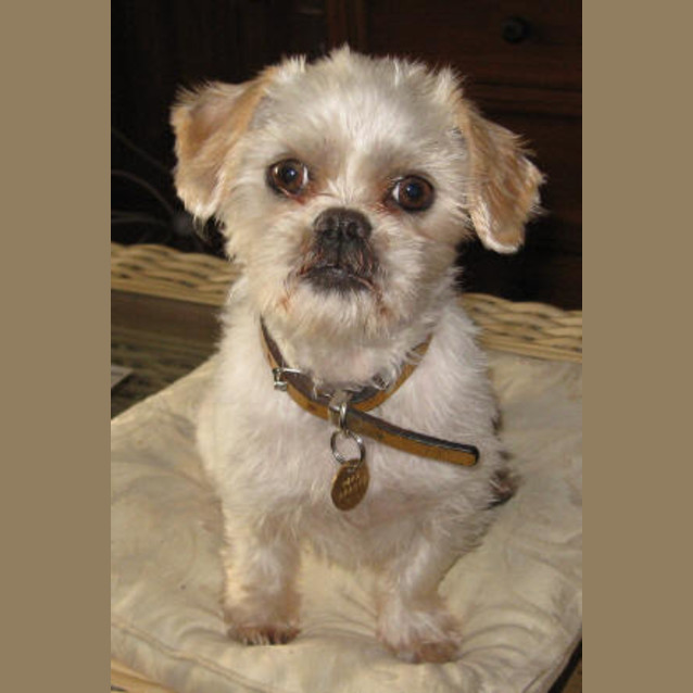 Photo of Billy