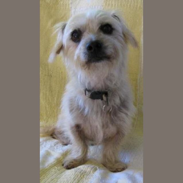 Photo of Bailey