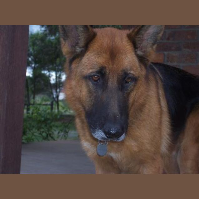 Photo of Baron