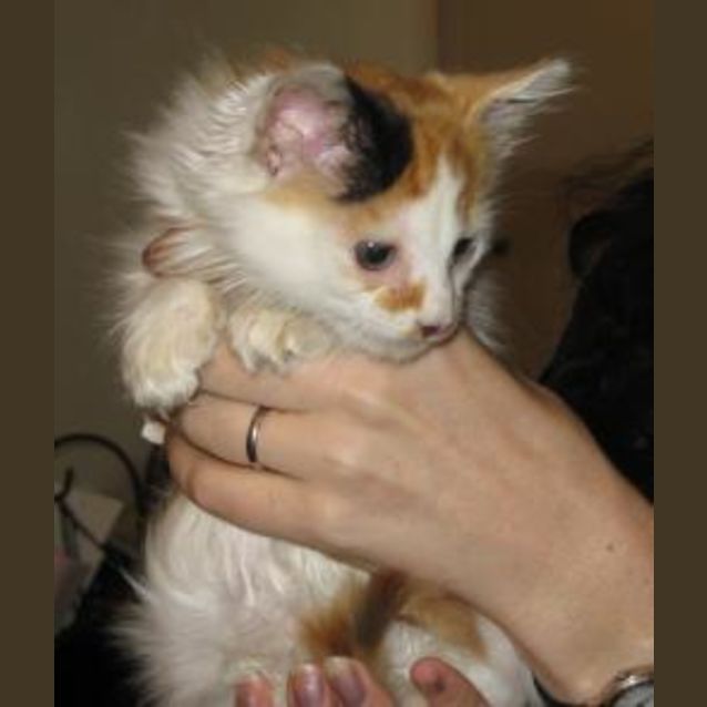 Photo of Wundaboy