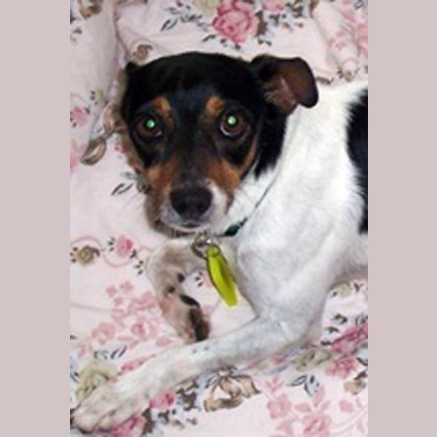 Photo of Sugar