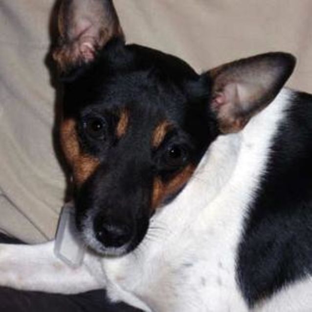 Photo of Mr Snuggles