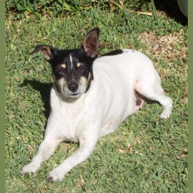 Photo of Duggie Is Trying A New Home!
