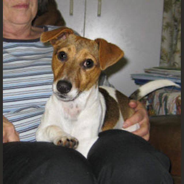 Photo of Jake