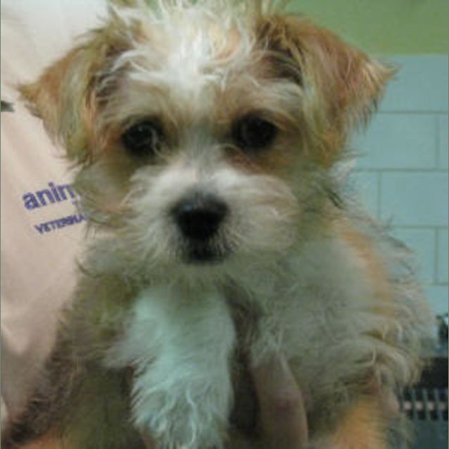 Photo of Charlie