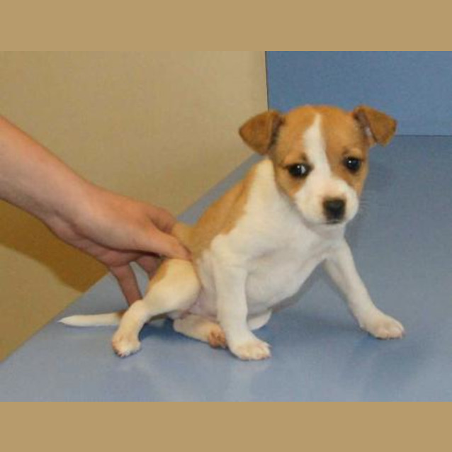 Photo of Twix