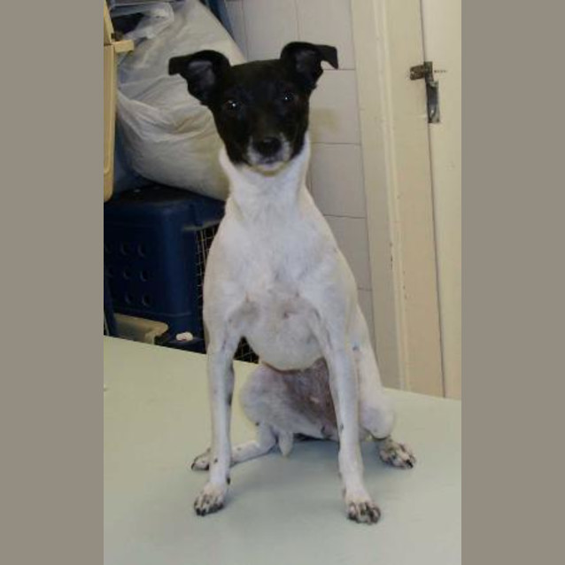 Photo of Molly