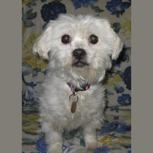 Photo of Annabelle