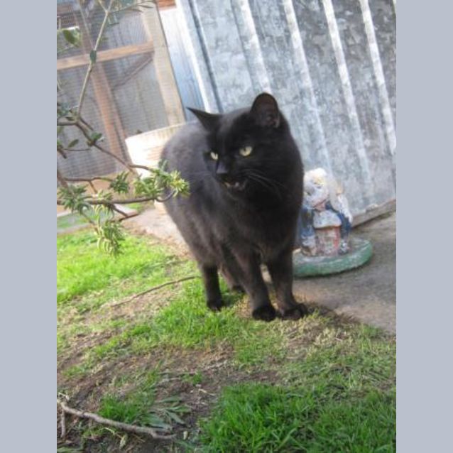 Photo of Claude De Pussy