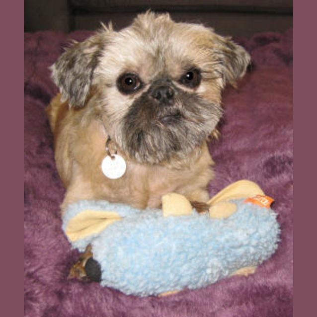 Photo of Heavenly Hamish