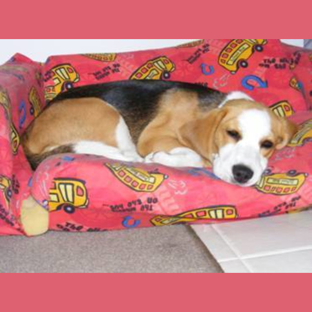 Photo of Lucy (***On Trial***)