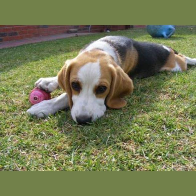 Photo of Lucy (***On Trial***)