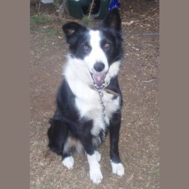 Photo of Ruby On Hold