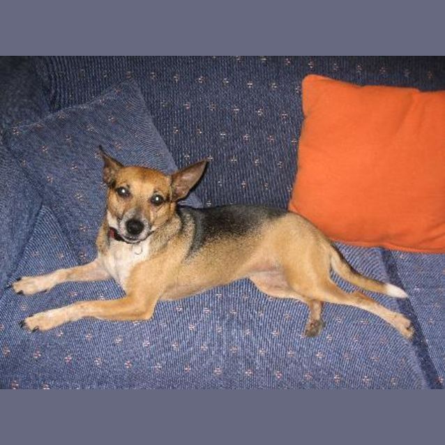 Photo of Feebie