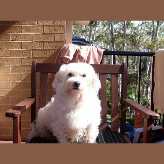 Photo of Missy