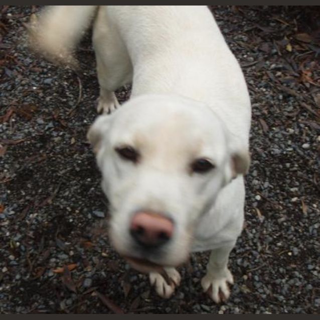 Photo of Lily