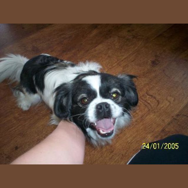 Photo of ***On Trial***    Missy