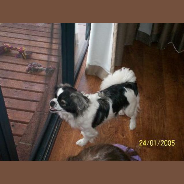 Photo of ***On Trial***    Missy