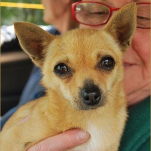 Photo of Tiny Missie