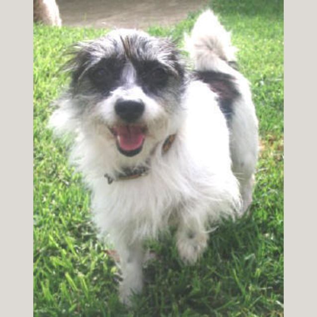 Photo of Missy