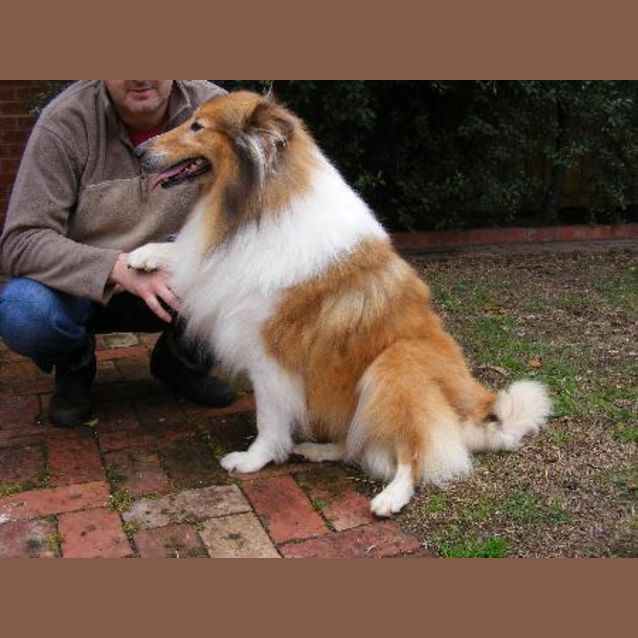 Photo of Ellie **On Trial**