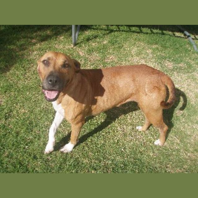 Photo of Saved!!!*Desperate* Susie Is On Deathrow.
