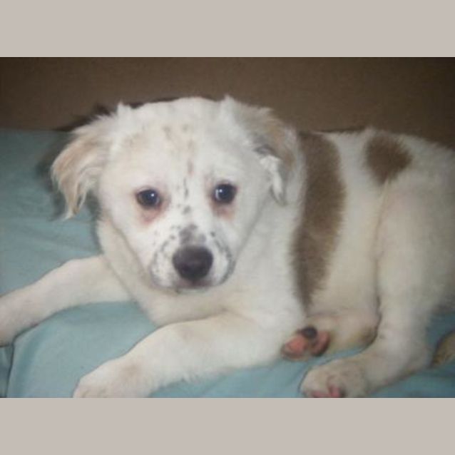 Photo of Rogue