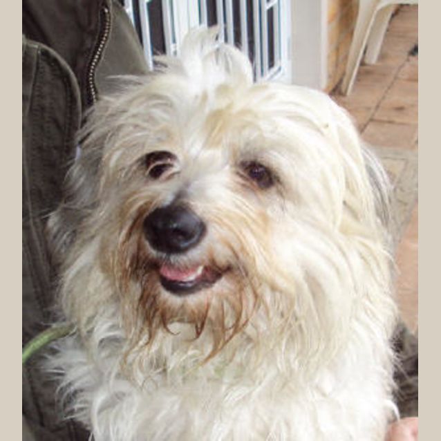 Photo of Miss Molly